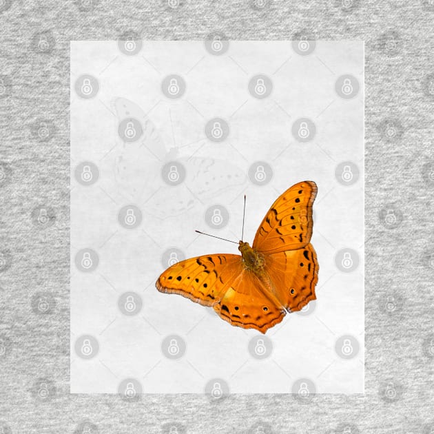 Butterfly and ghost on textured white by hereswendy